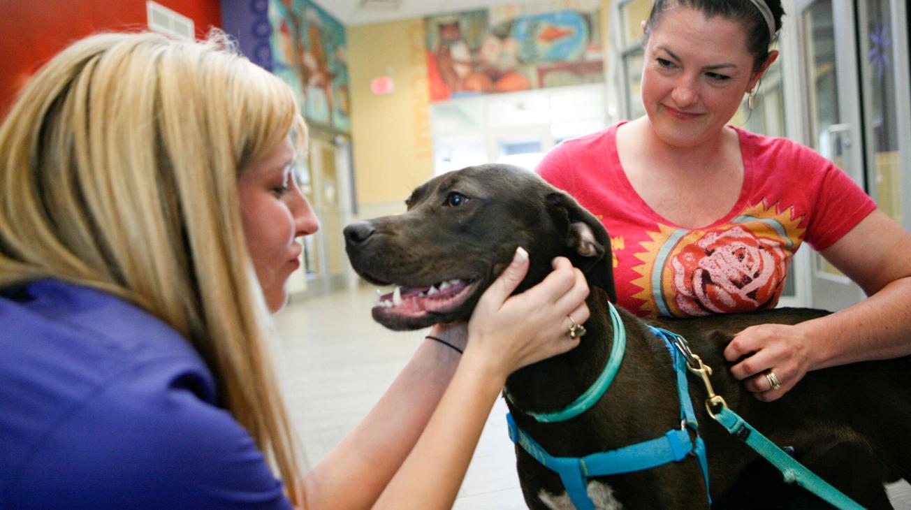 Make A Lasting Impact: Donate To An Animal Charity | PetSmart Charities